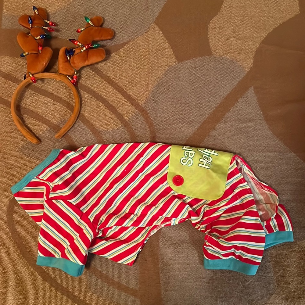 Santa’s Helper Puppy Costume w Reindeer Antlers, M